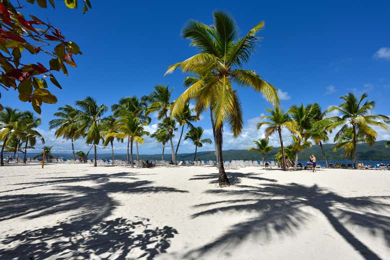 Excursión al Parque Nacional Los Haitises y Cayo Levantado