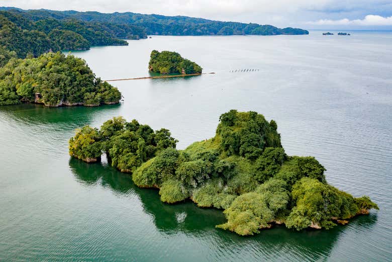 Excursión al Parque Nacional Los Haitises y Cayo Levantado