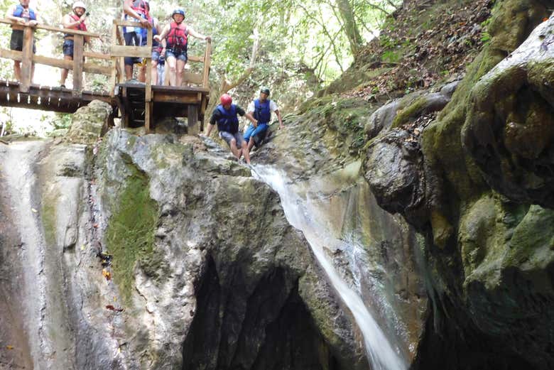 Excursión a los Charcos de Damajagua para cruceros