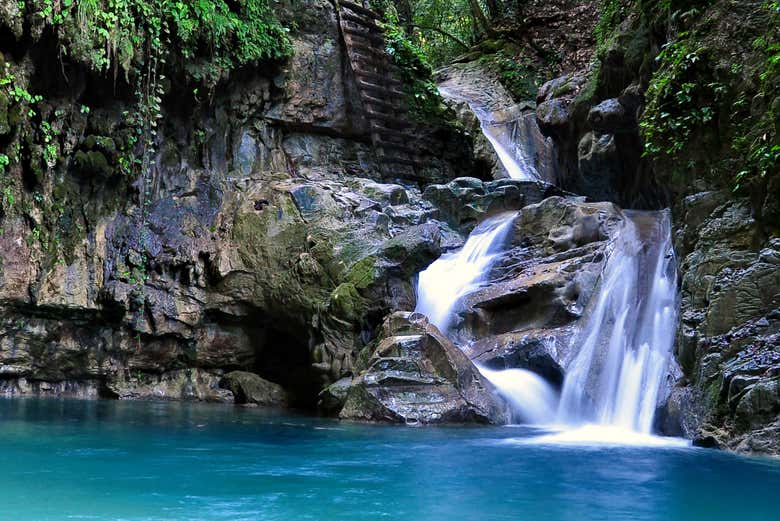 Excursión a los Charcos de Damajagua para cruceros