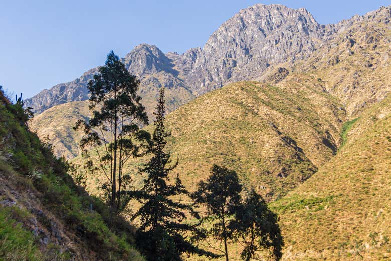 Excursión a San Mateo de Otao
