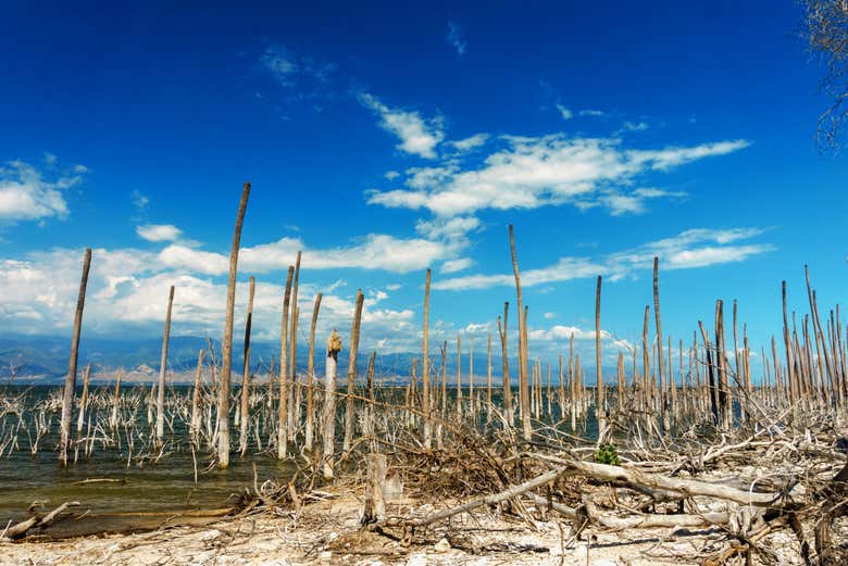 Excursión al lago Enriquillo