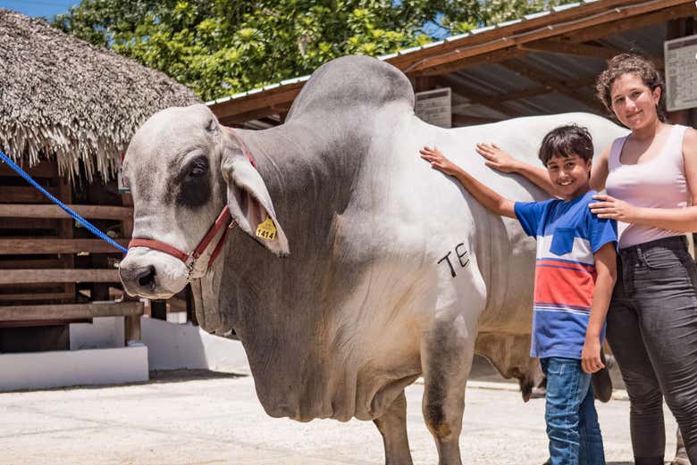 Excursión a Eco Park Punta Cana