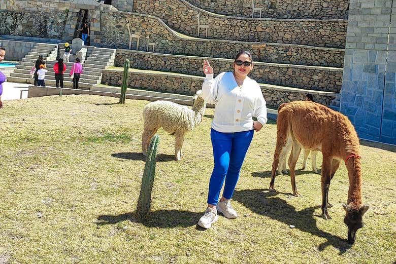 Excursión al Machu Picchu Limeño y Canta