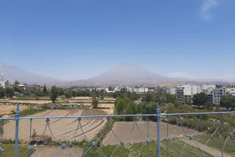 Tour por Arequipa + Mundo Alpaca