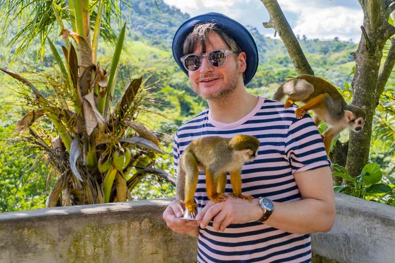 Excursión a Monkeyland