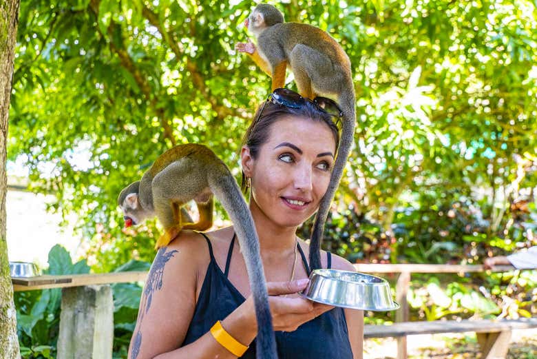 Excursión a Monkeyland