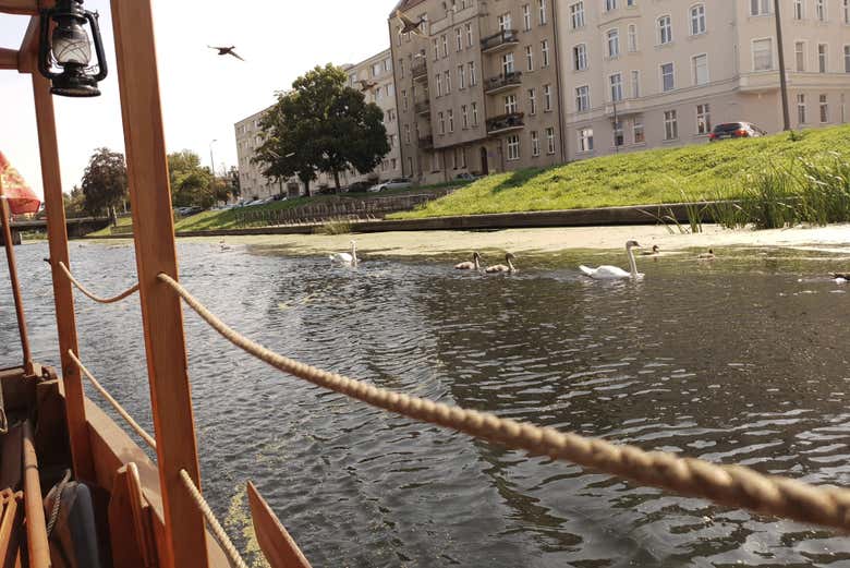 Paseo en barco por Gdansk