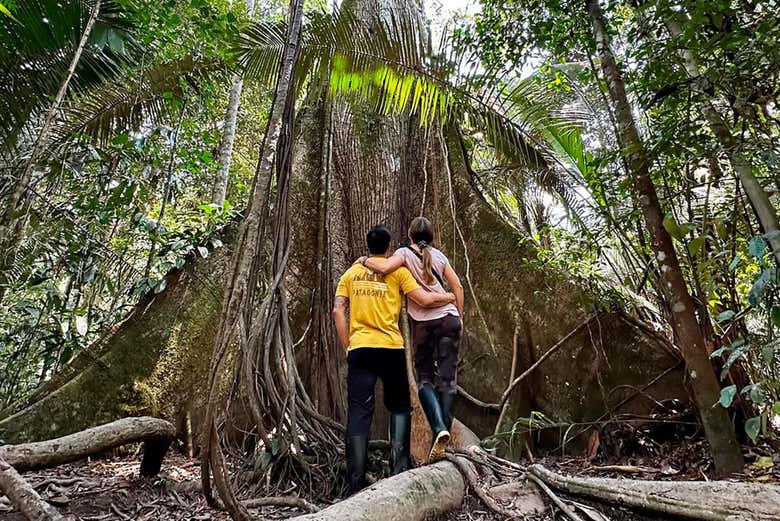Paseo en barco por los ríos Amazonas e Itaya