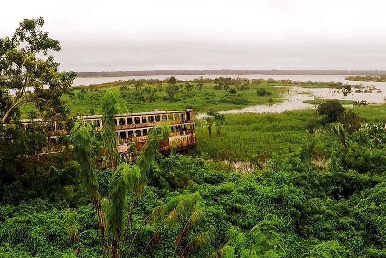 Paseo en barco por los ríos Amazonas e Itaya
