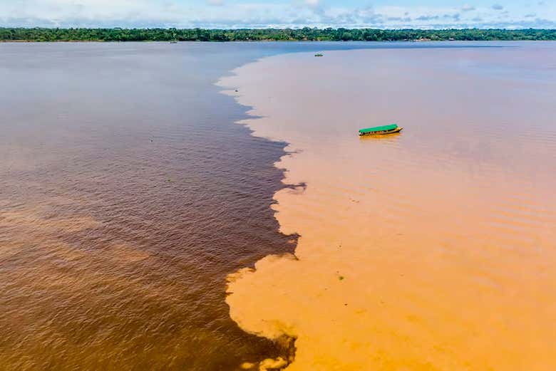 Paseo en barco por los ríos Amazonas e Itaya