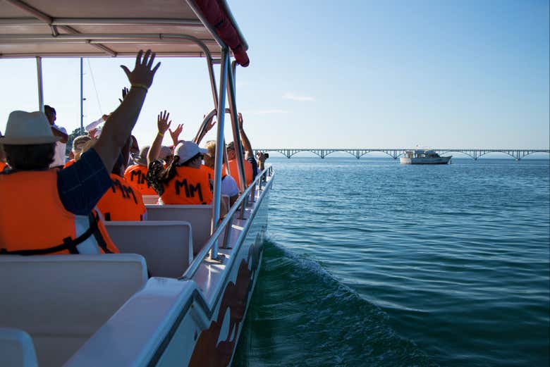 Excursión a Cayo Levantado