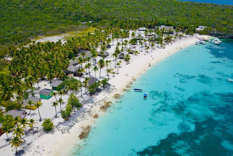 Excursión a la isla Catalina