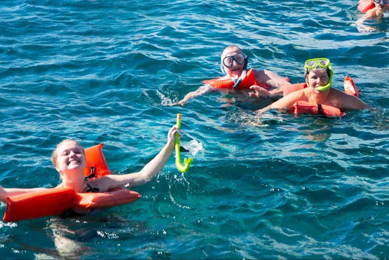 Excursión a la isla Catalina