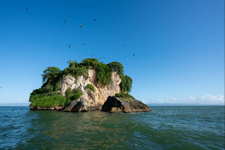 Excursión al Parque Nacional Los Haitises