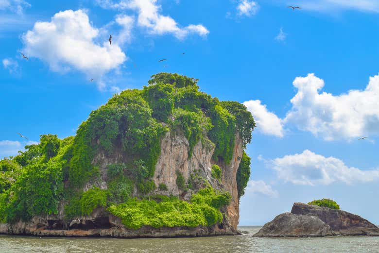 Excursión al Parque Nacional Los Haitises