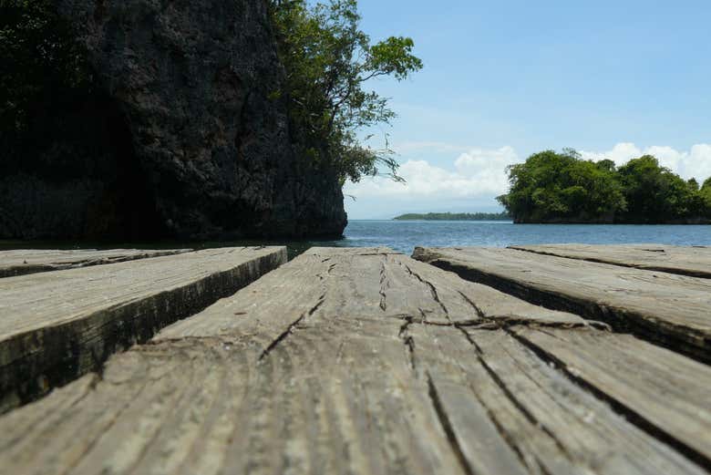 Excursión al Parque Nacional Los Haitises