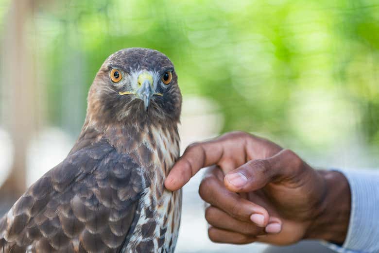 Visita a la Reserva Ecológica Ojos Indígenas + Avistamiento de animales