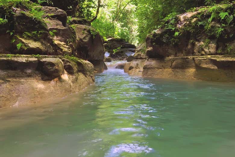 Excursión a los Charcos de Damajagua