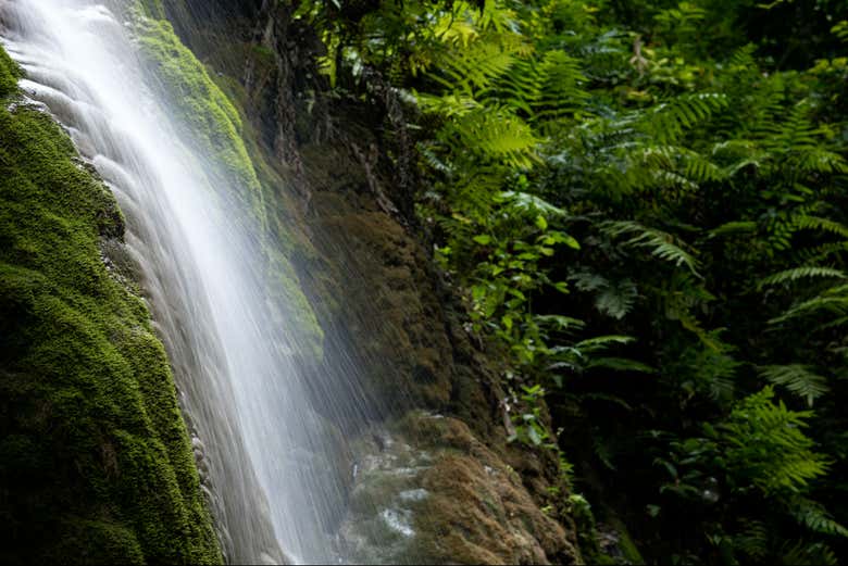 Excursión a los Charcos de Damajagua