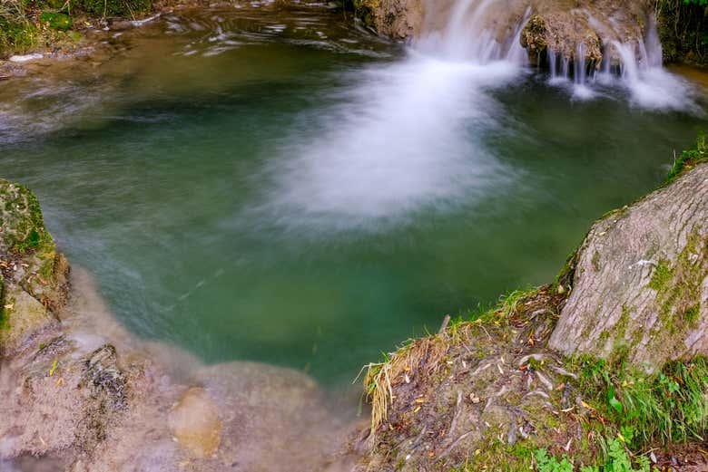 Excursión a los Charcos de Damajagua