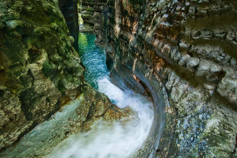Excursión a los Charcos de Damajagua