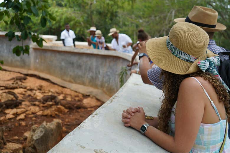 Fábrica de Barceló, Cueva de las Maravillas y Altos de Chavón