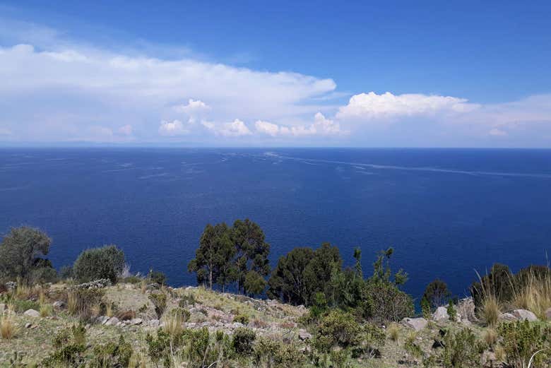 Excursión a las islas de los Uros + Trekking por Taquile