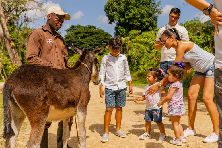 Tour de aventura en La Hacienda Park