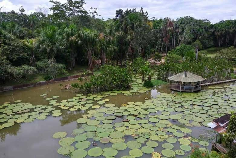 Excursión a Nauta y nacimiento del río Amazonas