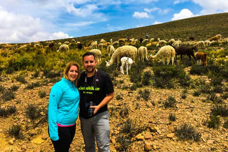 Excursión al Cañón del Colca finalizando en Puno