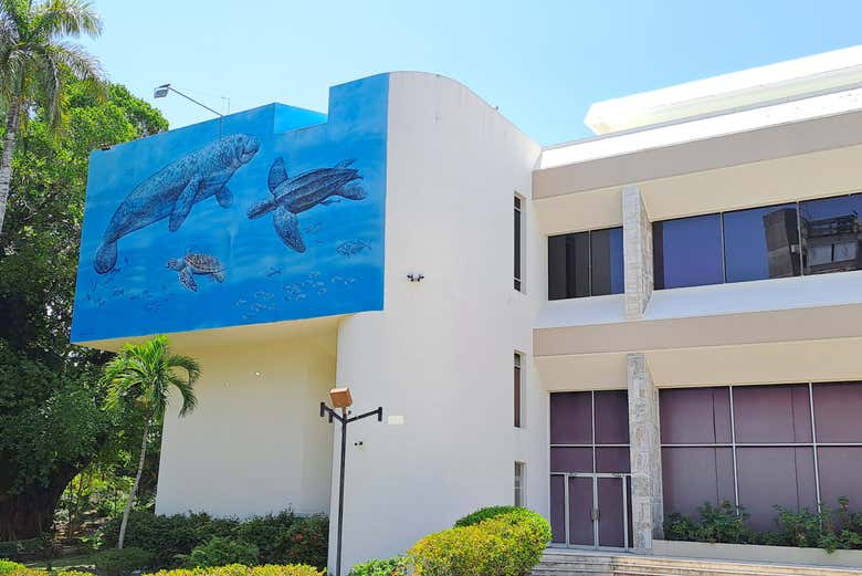 Tour por los museos de la Plaza de la Cultura