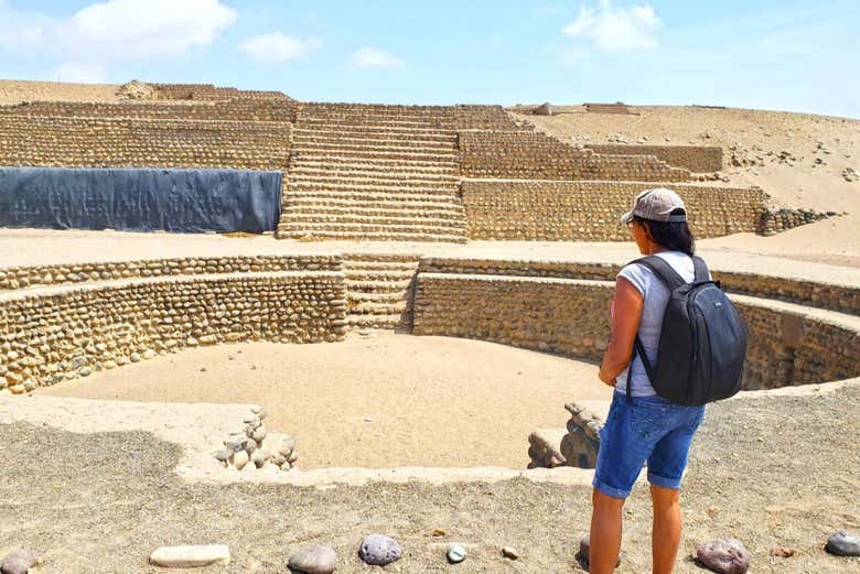 Excursión a Bandurria y humedales del Paraíso