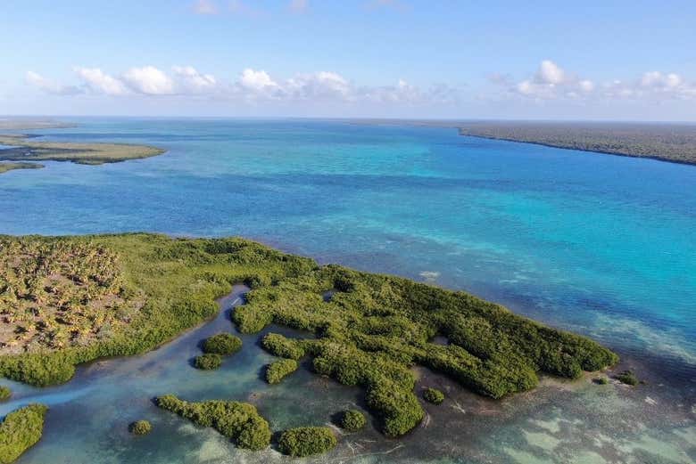 Excursión a la isla Saona + Río Chavón