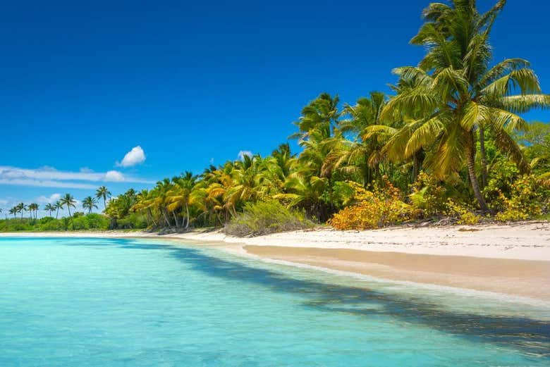 Excursión a la isla Saona + Río Chavón