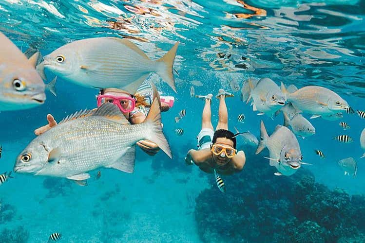Excursión a la isla Saona + Río Chavón
