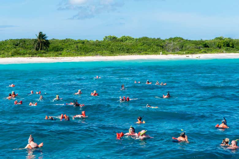 Excursión a Isla Catalina con snorkel