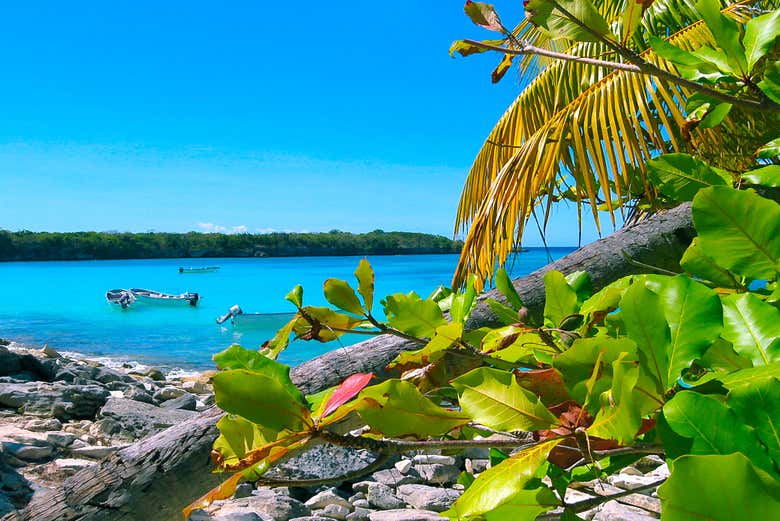 Excursión a Isla Catalina con snorkel