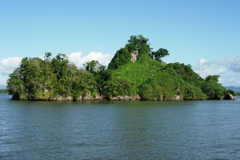 Excursión al Parque Nacional Los Haitises