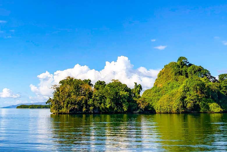 Excursión al Parque Nacional Los Haitises
