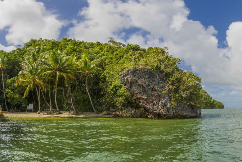 Excursión al Parque Nacional Los Haitises
