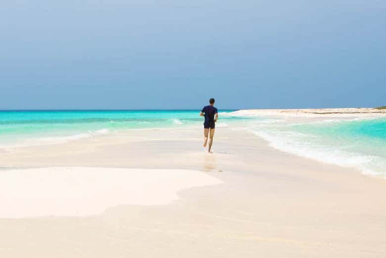 Excursión a Cayo Arena