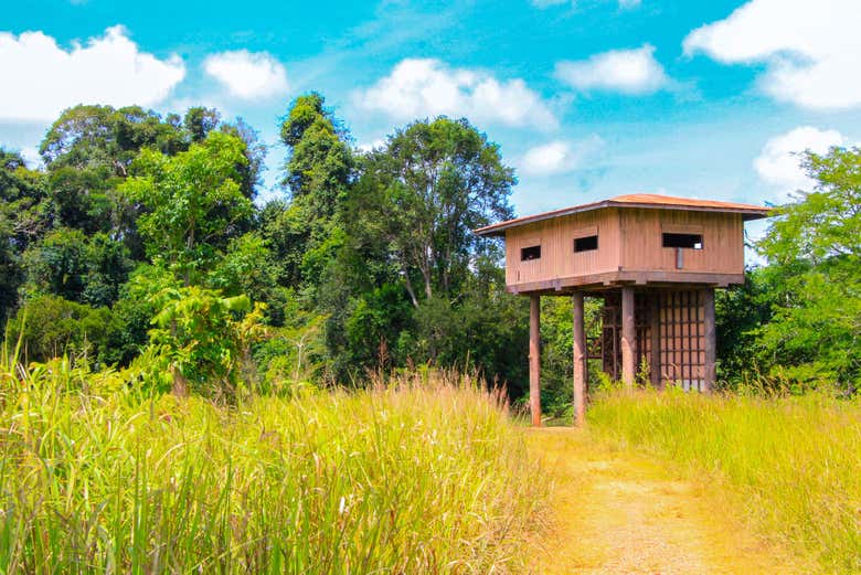 Excursión al parque de Khao Yai