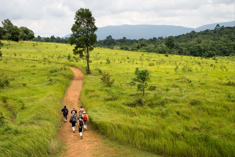 Excursión al parque de Khao Yai