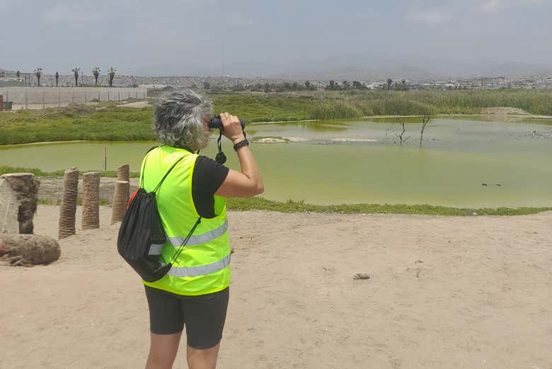 Tour en bicicleta por Miraflores y Barranco + Visita a Los Pantanos de Villa