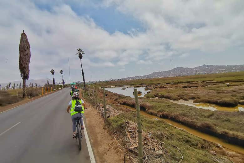 Tour en bicicleta por Miraflores y Barranco + Visita a Los Pantanos de Villa