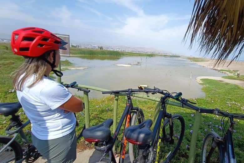 Tour en bicicleta por Miraflores y Barranco + Visita a Los Pantanos de Villa