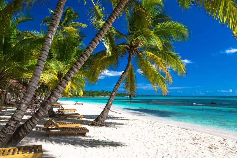 Excursión privada a la isla Saona en lancha