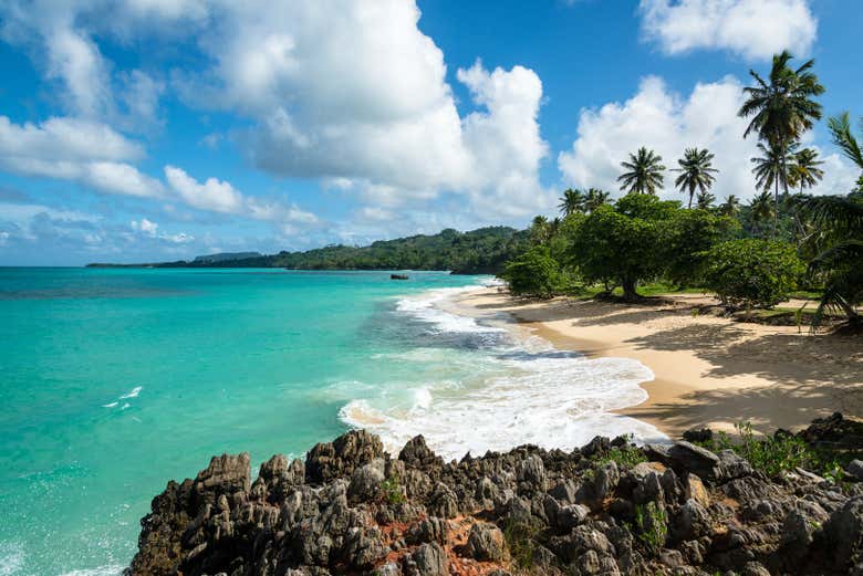 Avistamiento de ballenas en Samaná + Cayo Levantado y Playa Rincón