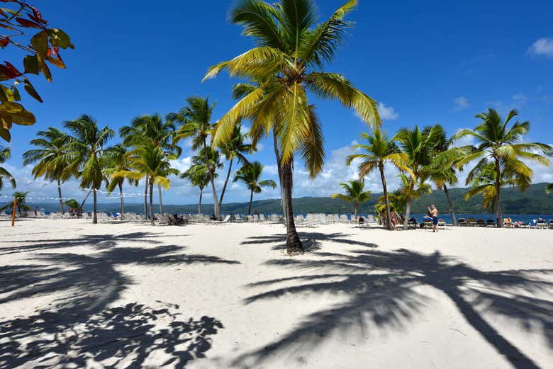 Avistamiento de ballenas en Samaná + Cayo Levantado y Playa Rincón